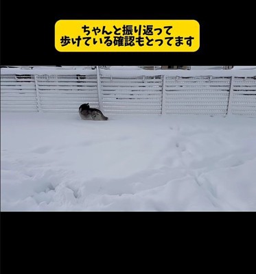 「どう？いけそう？」