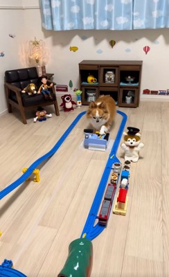 ボタンを押すラピくん