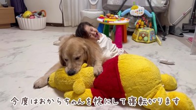 おからちゃんにべったり