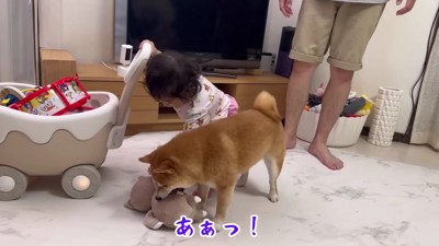 また取られちゃった