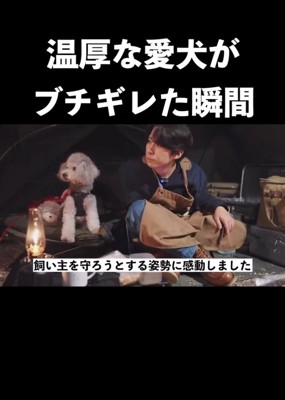 飼い主さんも大感謝