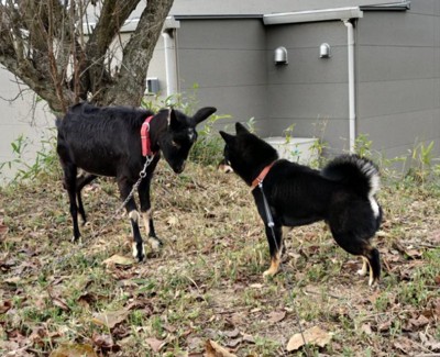 仲良くなれる？