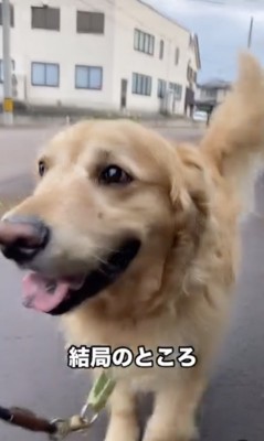 今が1番可愛い！！