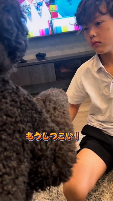 犬を見てムッとした顔をする男の子