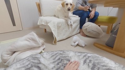 ママさんが呼んだら…