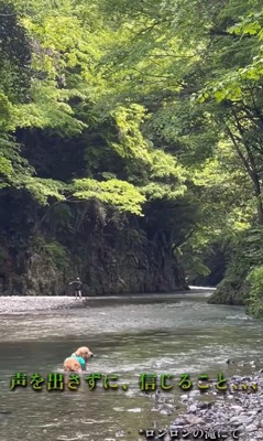 アーロンくんと川遊び中の出来事5