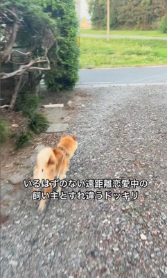 さぶろう君とお姉ちゃんの再会