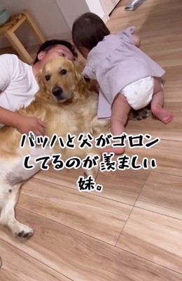 パパと寝転ぶバッハくん