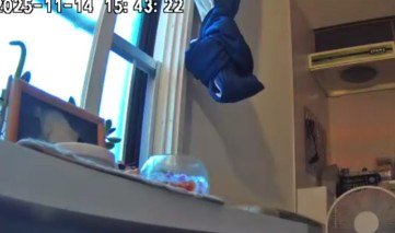 まさかの完全犯罪…！！