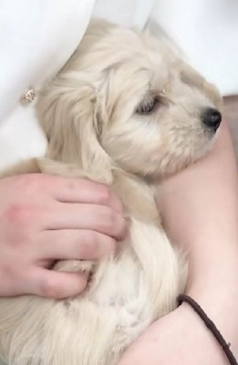 成長しても5～6キロ