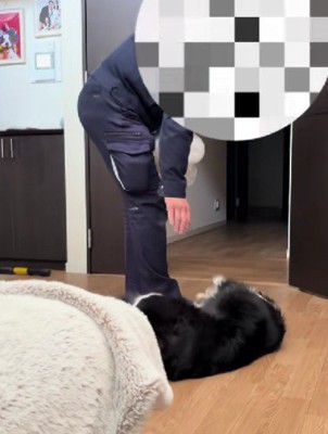 尻尾フリフリが止まらない…♪