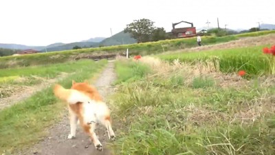 「もう待てない!」