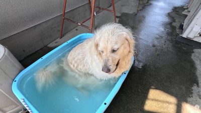 「いや、もうちょっとだけ…!」