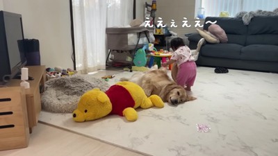 ウロウロするほのちゃん