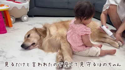 ほのちゃんも見守ります