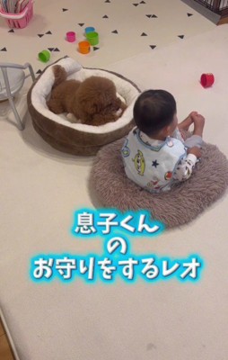 何かあったらすぐに助けるよ