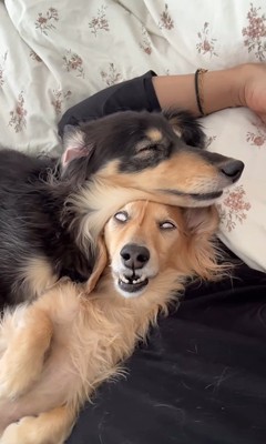 面白くて愛おしい寝姿…♡