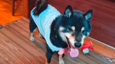 嬉しそうにニコニコ♡