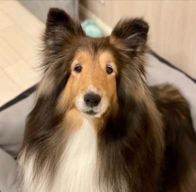 やる気がない日も