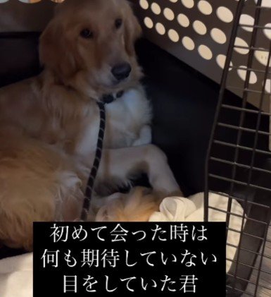 何も期待していない…