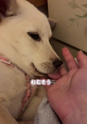 安心の表情にホッコリ