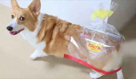 食パン