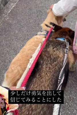 お散歩も楽しめるように♪