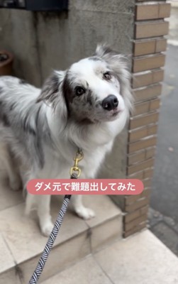 1ヶ月前のこと、思い出せるかな？