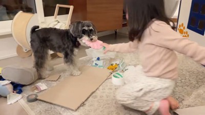 楽しそうに遊ぶ2人