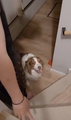 パパたちも心配に