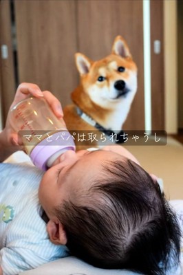 さみしそうなまるくん