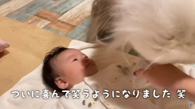 オムツのチェックも欠かさない