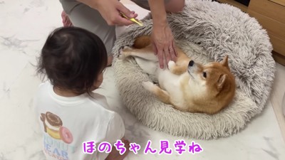 うにくんも歯磨き♪