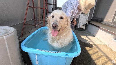 とっても幸せそう♡