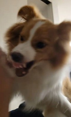 遊ぶ時は怖いくらい全力！