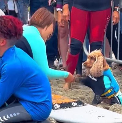 銀メダルを取った犬