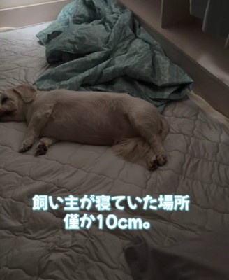 寝る場所もない…