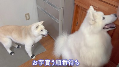 食欲はまだまだ旺盛♪
