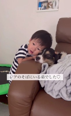 ずっと寄り添っていたそう