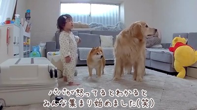 みんなで怒られれば怖くない！？