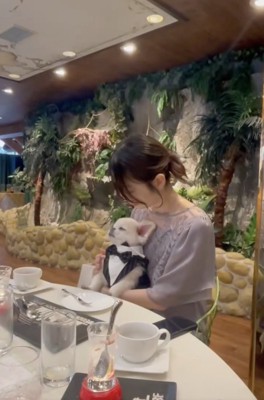 お祝い疲れかな?