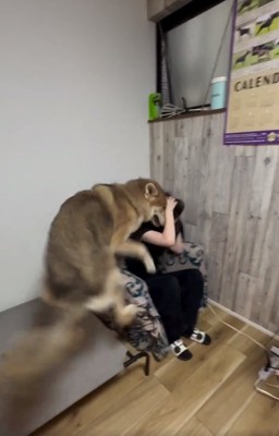 倒れ込むお姉ちゃん