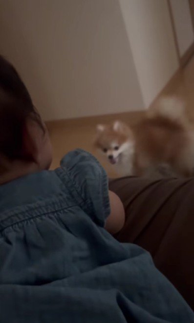 「それなに!?」