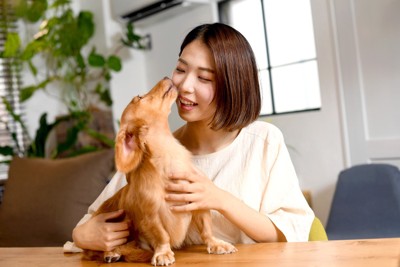 女性に甘える犬