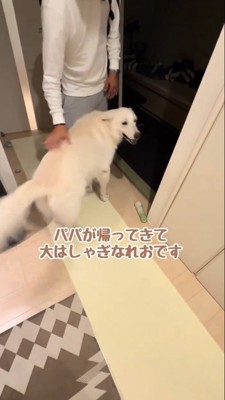 笑顔で女性の方を見る犬