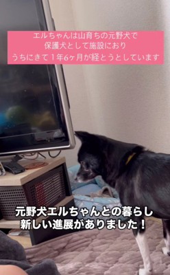 お昼寝中、頭を突っ込んでしまったのは…