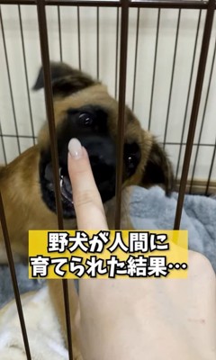 愛情を注いで育てられたアキちゃん3
