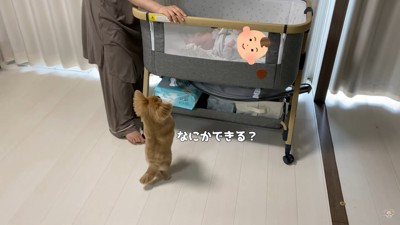 ハナちゃんのあやし方2