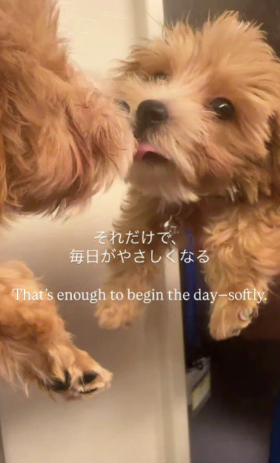 かけがえのない存在に