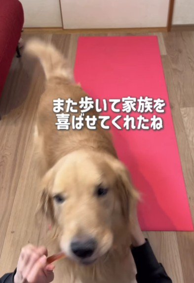 レオンくんの健気さに救われた…